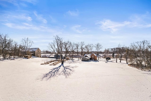 yard layered in snow with an outdoor structure