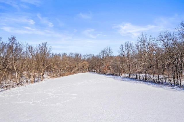 view of yard layered in snow