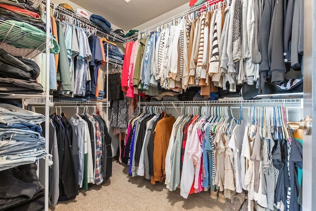 walk in closet with carpet flooring