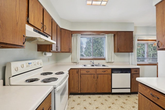 kitchen featuring under cabinet range hood, white appliances, a sink, light countertops, and brown cabinets