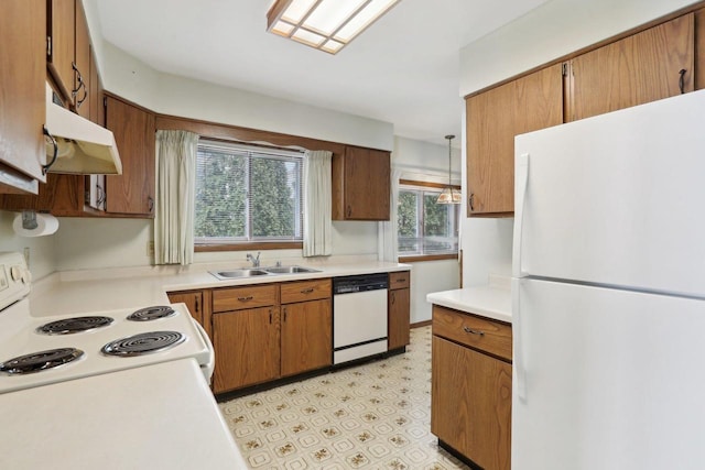 kitchen featuring under cabinet range hood, white appliances, a sink, light countertops, and brown cabinets