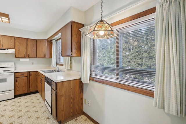 kitchen with white electric stove, brown cabinetry, a sink, and under cabinet range hood