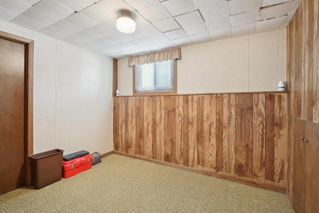 below grade area with wooden walls and carpet flooring