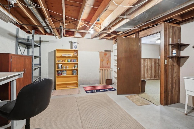 unfinished basement with wood walls