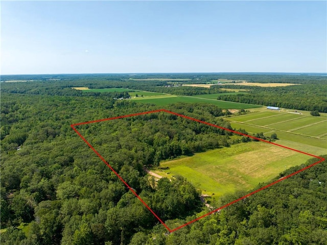 birds eye view of property with a rural view and a view of trees