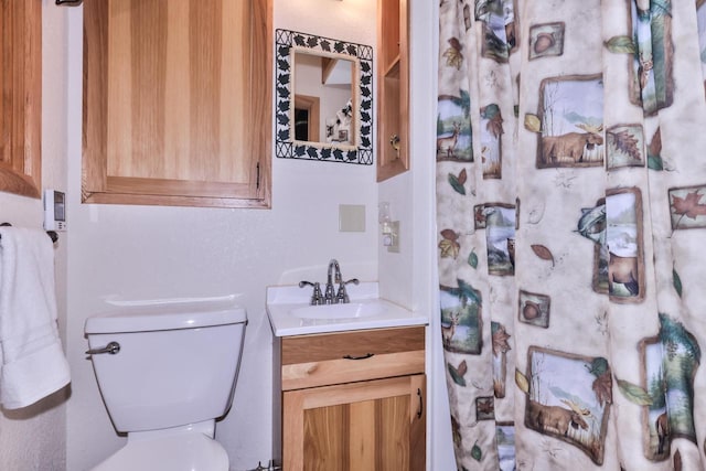 bathroom with toilet and vanity