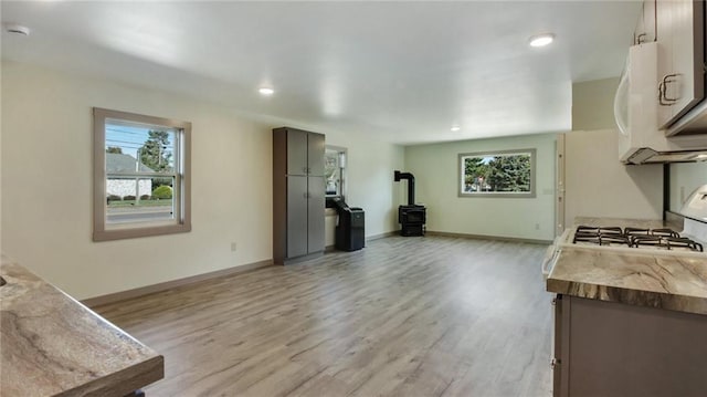 living room with a wood stove, a healthy amount of sunlight, and light wood finished floors