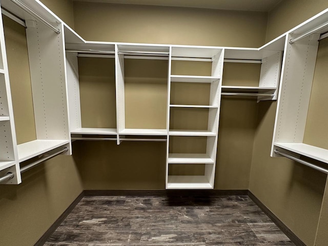 spacious closet featuring dark wood-style floors