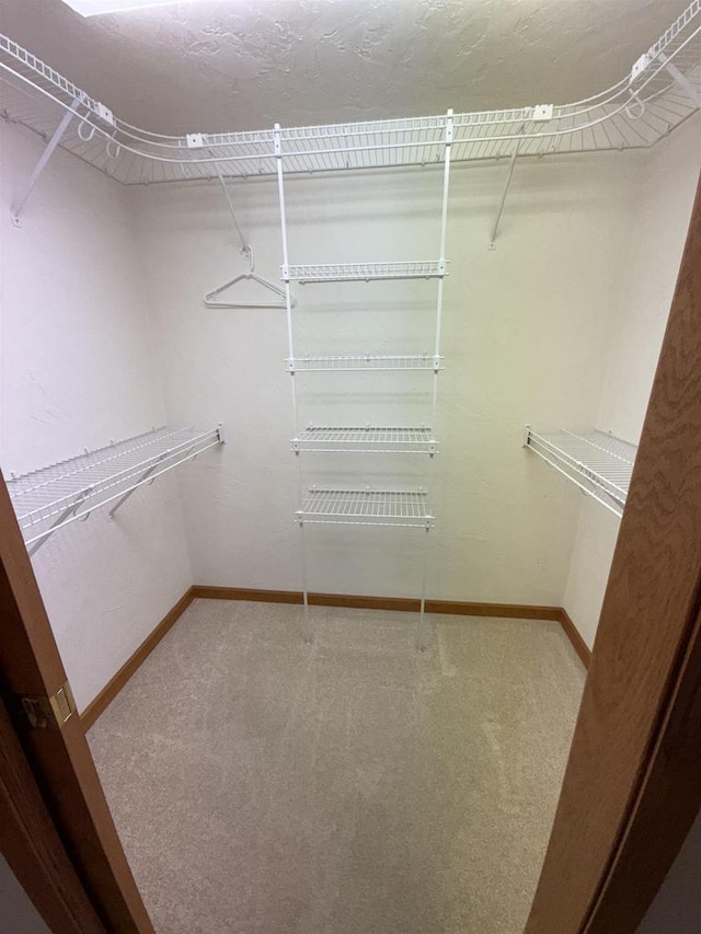 walk in closet with carpet flooring