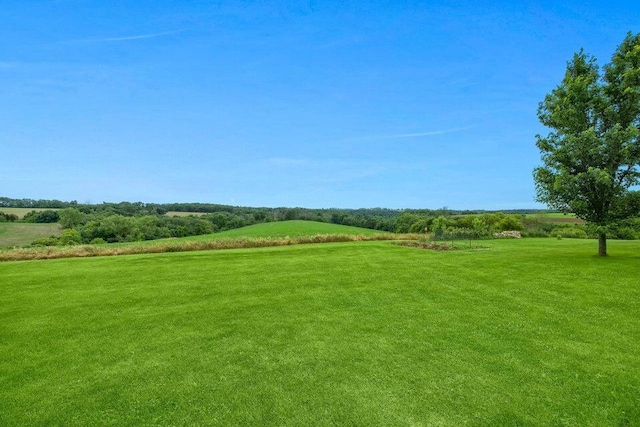 view of yard featuring a rural view