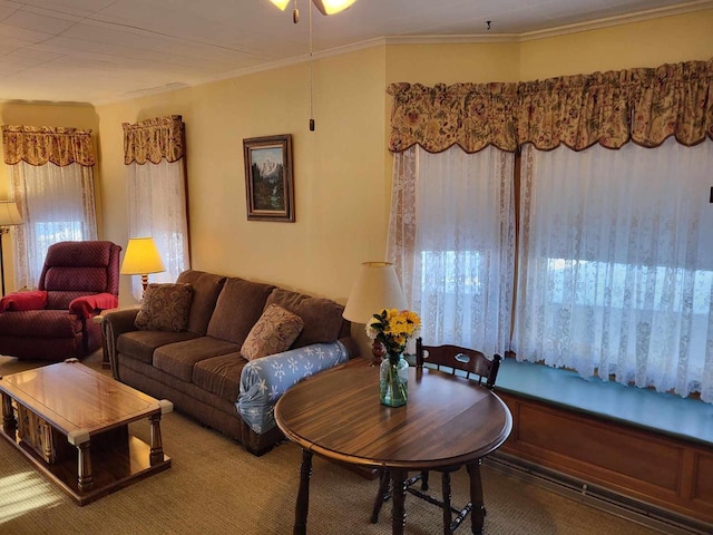 living area featuring ornamental molding