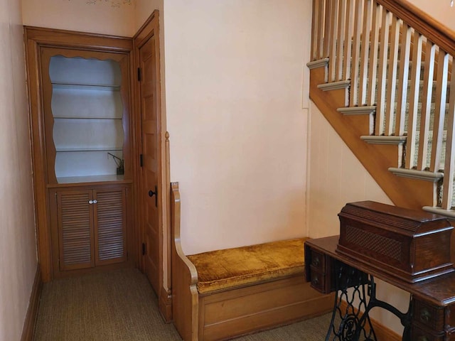 interior space featuring carpet floors