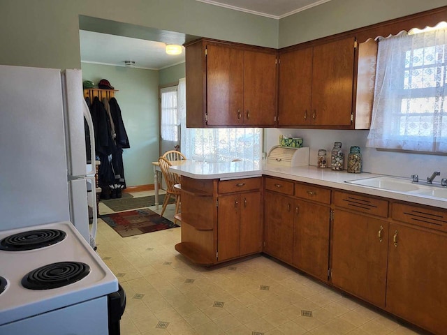 kitchen featuring a peninsula, white appliances, a sink, and light countertops