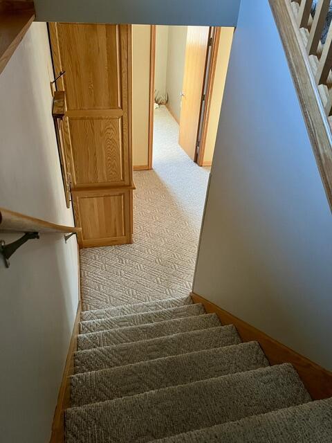 stairs featuring carpet