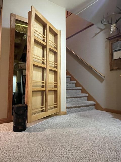 stairway with carpet floors