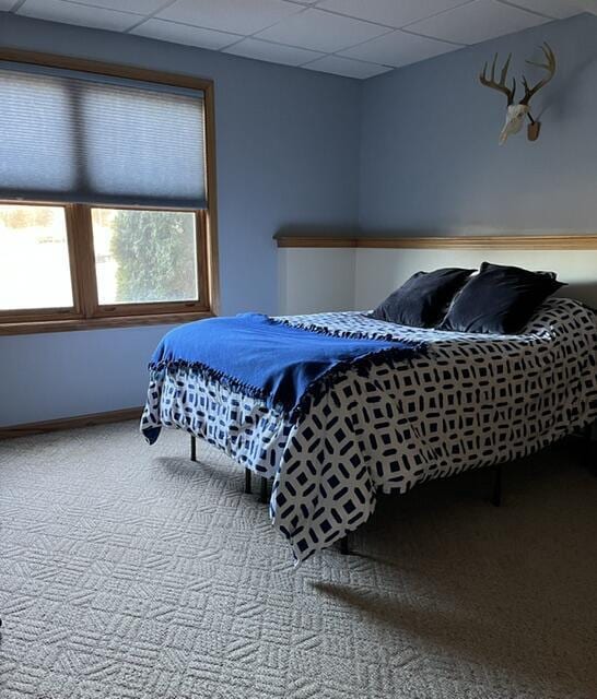 bedroom with carpet, a drop ceiling, and baseboards