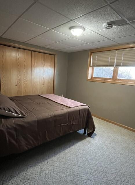 carpeted bedroom with a paneled ceiling and baseboards