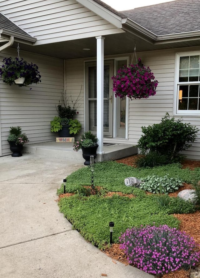 property entrance with a shingled roof and a porch