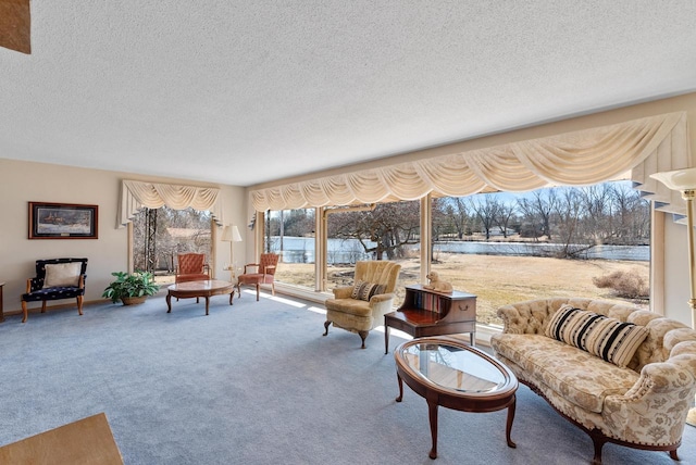 living area with carpet floors and a textured ceiling