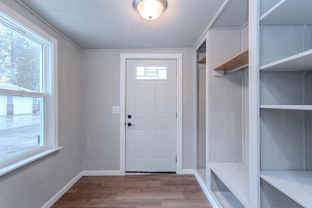 mudroom with plenty of natural light, baseboards, and wood finished floors