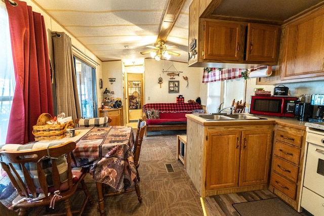 kitchen with a wealth of natural light, vaulted ceiling, a sink, and stove