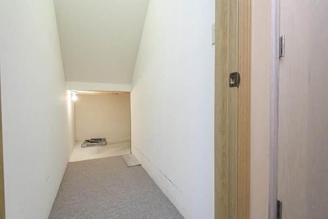 hallway featuring carpet floors