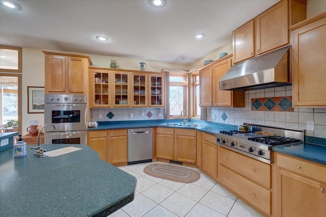 kitchen featuring under cabinet range hood, dark countertops, appliances with stainless steel finishes, and a sink