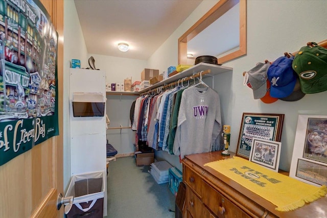 spacious closet with carpet