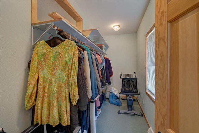 spacious closet with carpet