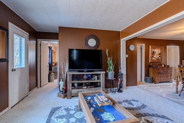 living room with carpet and wood walls