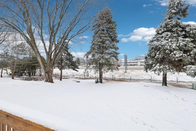 view of yard covered in snow