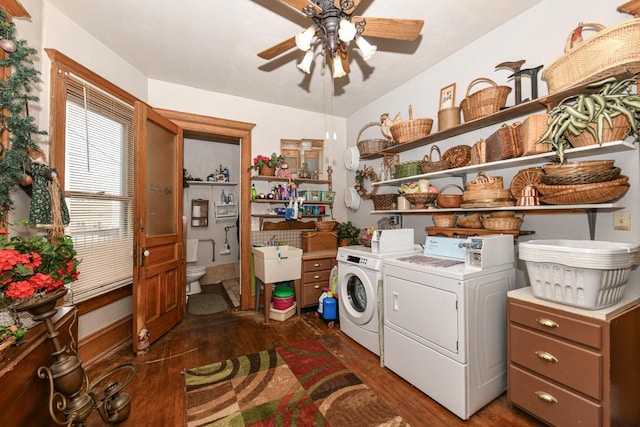 laundry room featuring ceiling fan, laundry area, dark wood-type flooring, and washer and clothes dryer