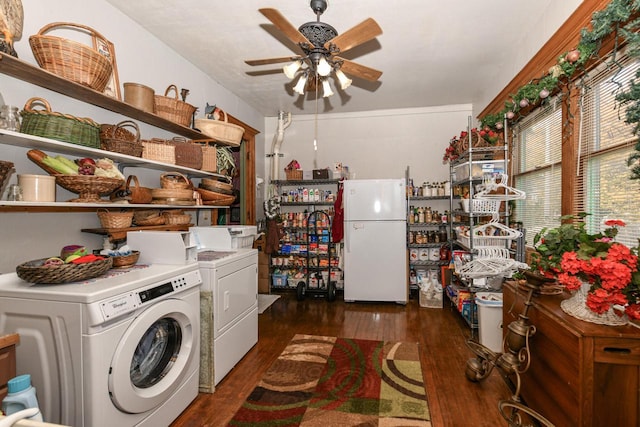 laundry area with laundry area, ceiling fan, washer and dryer, and wood finished floors