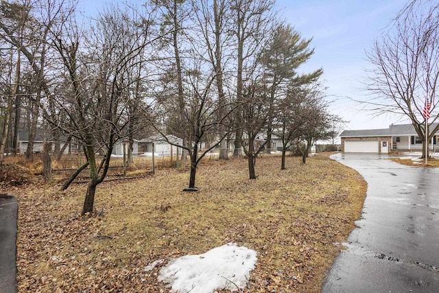 view of yard with a garage and driveway