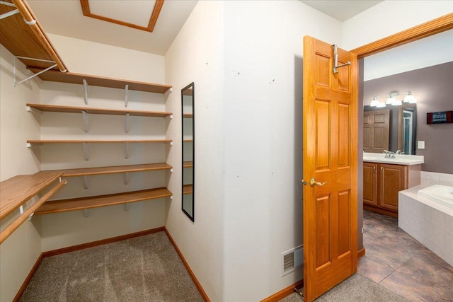 storage area featuring visible vents and a sink