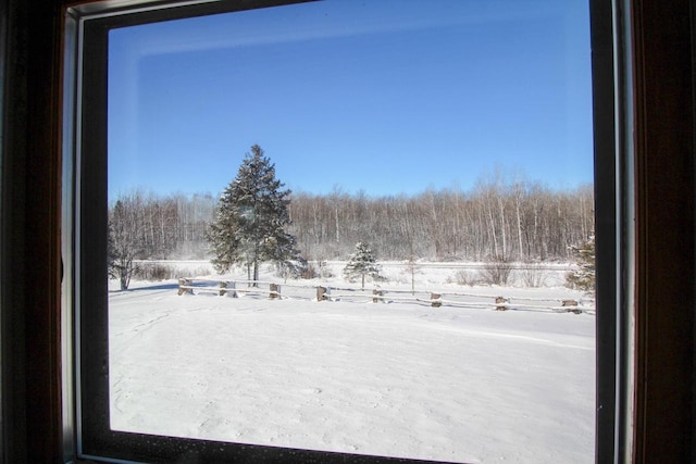 view of yard covered in snow