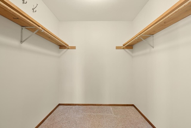 walk in closet with carpet flooring