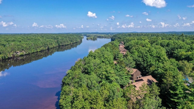 drone / aerial view with a water view and a wooded view