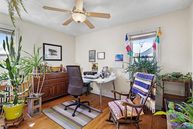 office area featuring ceiling fan, a wealth of natural light, and wood finished floors