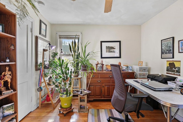 office area featuring a ceiling fan and hardwood / wood-style flooring