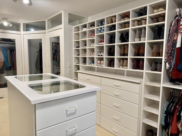 view of spacious closet