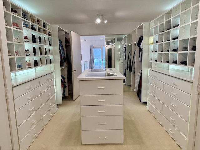 spacious closet featuring light colored carpet