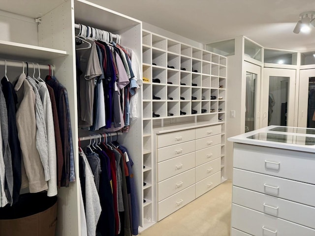 walk in closet with carpet floors