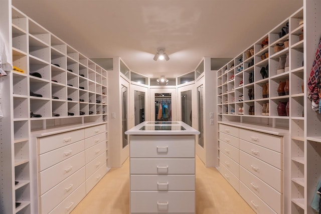 view of walk in closet