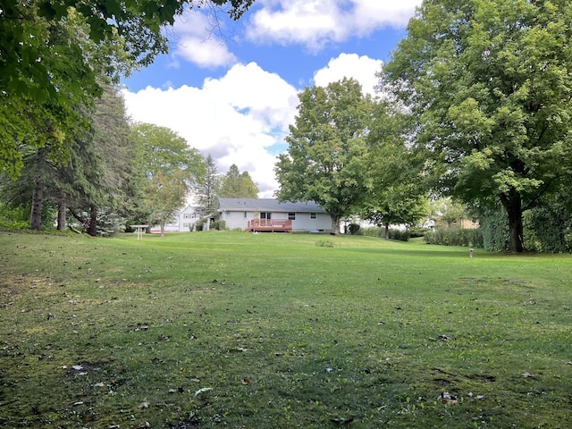 view of yard with a wooden deck