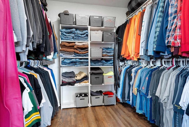 spacious closet featuring wood finished floors