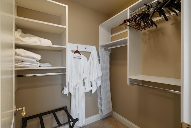 view of spacious closet