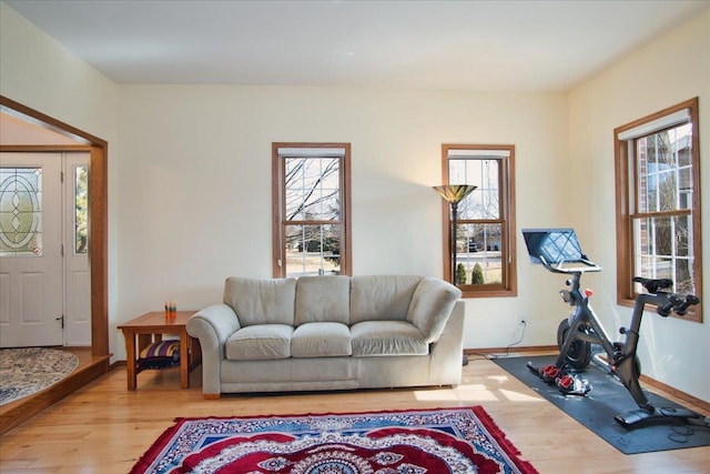 living room featuring light wood-style floors, baseboards, and a wealth of natural light