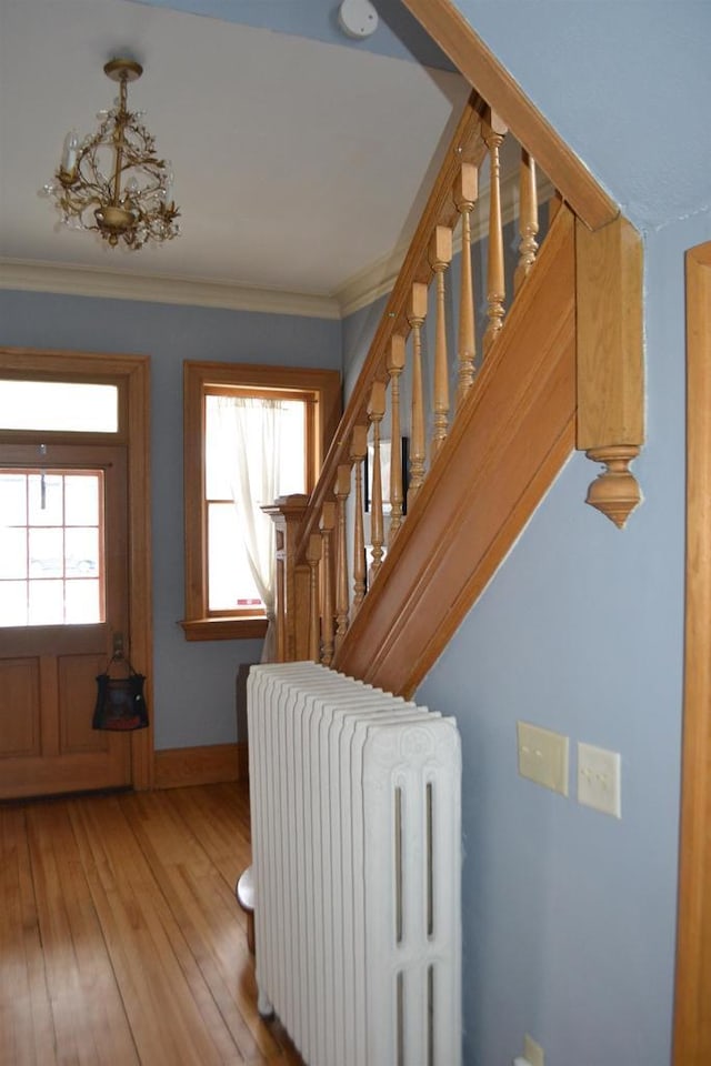 foyer featuring radiator heating unit, stairs, light wood-style flooring, and a wealth of natural light