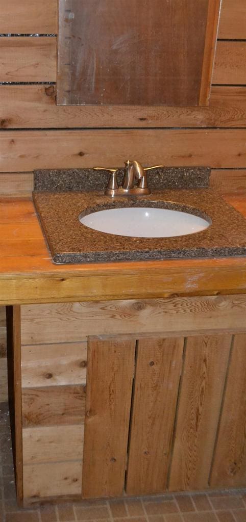 details featuring a sink and wood walls